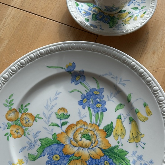 Copeland Spode Raeburn tea cups/saucers + two dinner plates - Picture 7 of 7